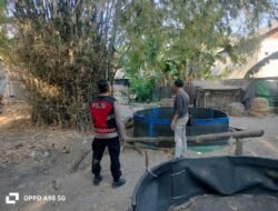 Polisi Cek Dugaan Adu Ayam di Pamotan