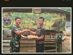 Arhanud 10/ABC Kembangkan Urban Farming Ayam Petelur