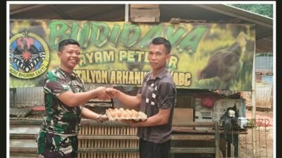 Arhanud 10/ABC Kembangkan Urban Farming Ayam Petelur