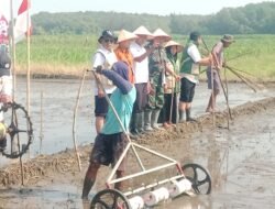 Tingkatkan Produktivitas, Danramil Kanigaran Hadiri Gerakan Tanam Pertanian Modern Advance Agriculture System