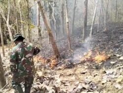 Gerak Cepat, Personel Koramil Campurdarat Padamkan Kebakaran Lahan Perhutani di Desa Pojok