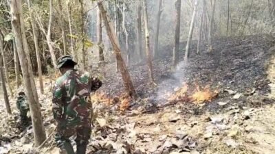 Gerak Cepat, Personel Koramil Campurdarat Padamkan Kebakaran Lahan Perhutani di Desa Pojok