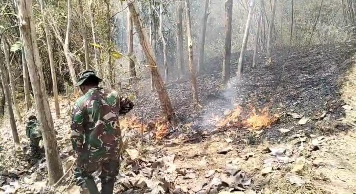 Gerak Cepat, Personel Koramil Campurdarat Padamkan Kebakaran Lahan Perhutani di Desa Pojok