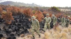 Jalan Kaki 12 Jam Susuri Gunung Lawu, Danrem Erwin Perkuat Mitigasi Karhutla