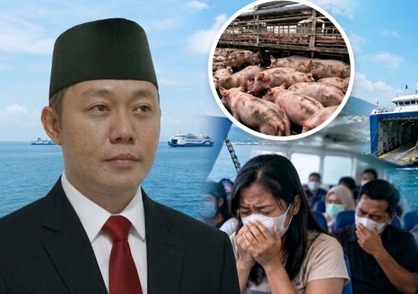 Penumpang Kapal ASDP Keluhkan Bau Ternak Babi, Pemerhati Transportasi Usulkan Kapal Khusus
