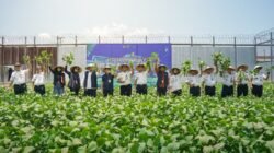 Lapas Lombok Barat Panen Edamame 3-4 Ton, Optimalkan Lahan Pembinaan Warga Binaan