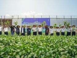 Lapas Lombok Barat Panen Edamame 3-4 Ton, Optimalkan Lahan Pembinaan Warga Binaan