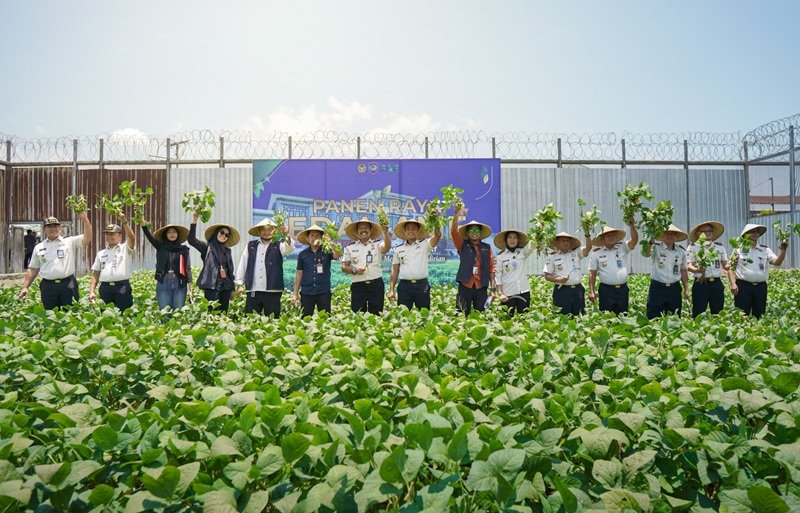 Lapas Lombok Barat Panen Edamame 3-4 Ton, Optimalkan Lahan Pembinaan Warga Binaan