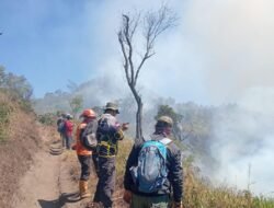 Kawasan Bromo-Tengger-Semeru Wilayah Lumajang Dilanda Karhutla Lagi