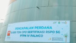 PTPN IV PalmCo Bidik Ekspor CPO 759.000 Ton pada 2027