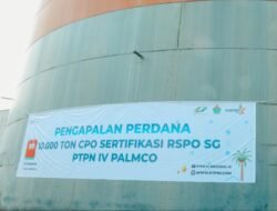 PTPN IV PalmCo Bidik Ekspor CPO 759.000 Ton pada 2027